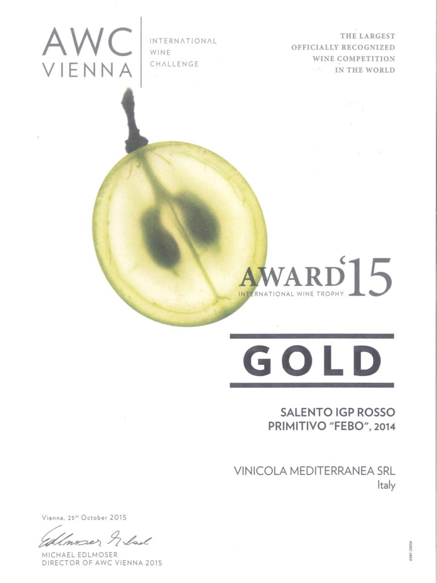AWC VIENNA 2015 FEBO-1
