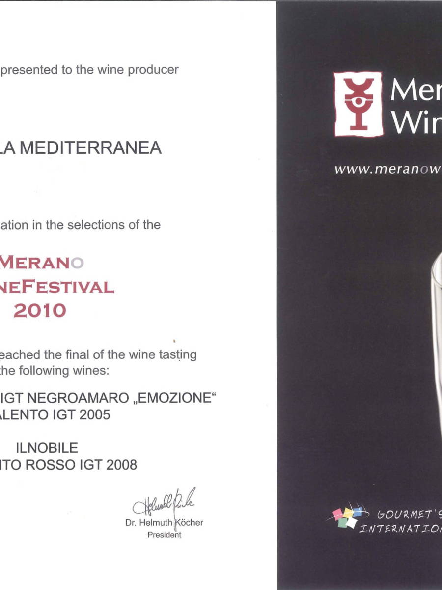 MERANO 2010-1
