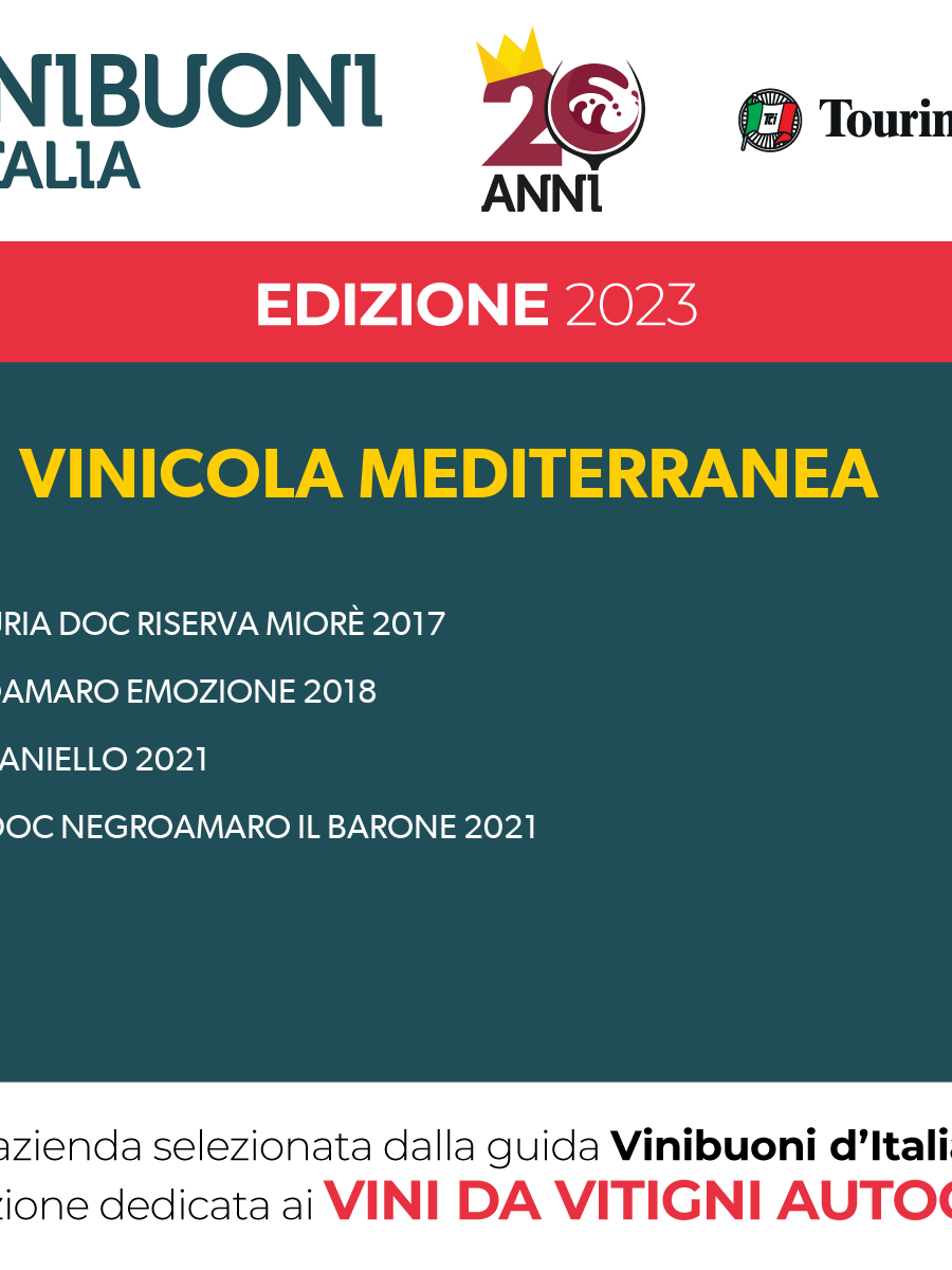 VINIBUONI D'ITALIA 2023