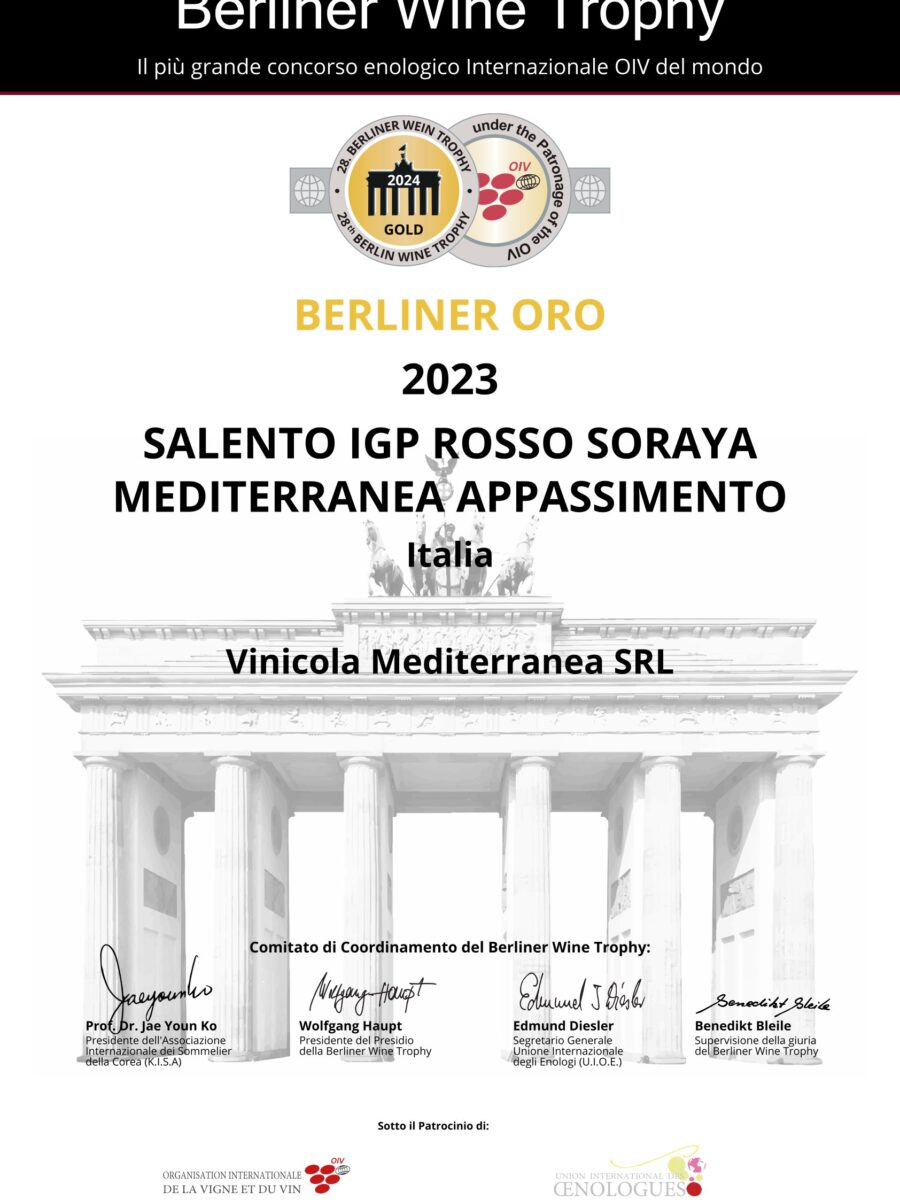 BERLINER SUMMER 2024 SOARAYA APPASSIMENTO 2023