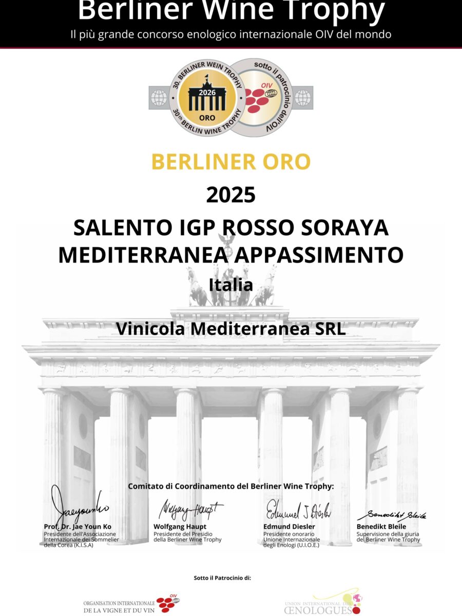 BERLINER WINTER 2026 SORAYA APPASSIMENTO 2025